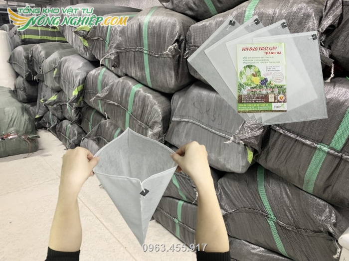 Cty có sẵn số lượng lớn túi bao trái Thanh Hà để cung ứng ra thị trường