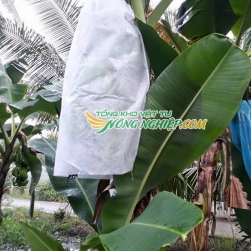 Bao trái cây Thanh Hà túi vải chuyên dụng màu trắng 60x100cm