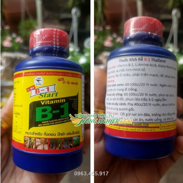 Sản phẩm B1 được sản xuất tại Thái Lan