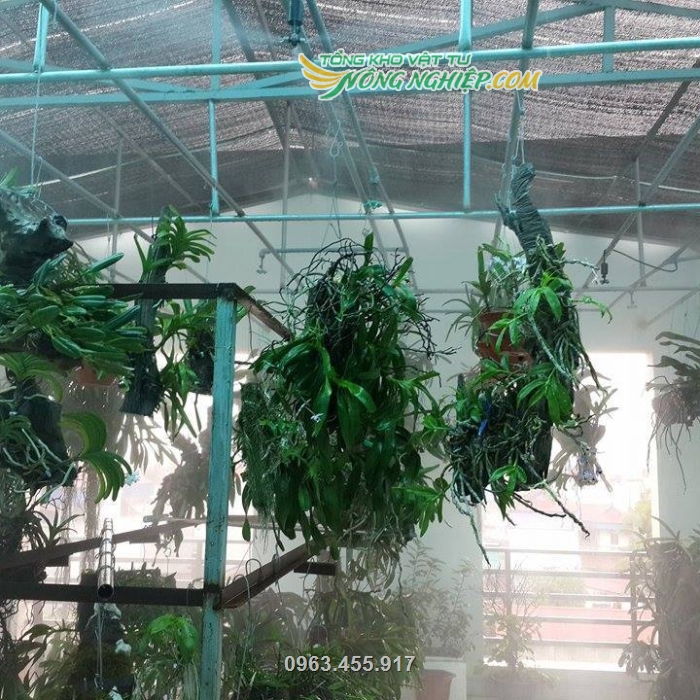 Sử dụng lưới che trong các công trình, nhà vườn trồng cây