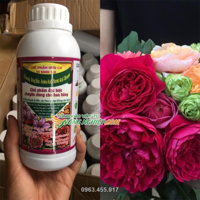 Chế phẩm đậu tương hữu cơ chuyên dùng cho hoa hồng