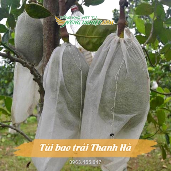Túi bọc trái được dùng phổ biến trong nhiều nhà vườn trồng mít