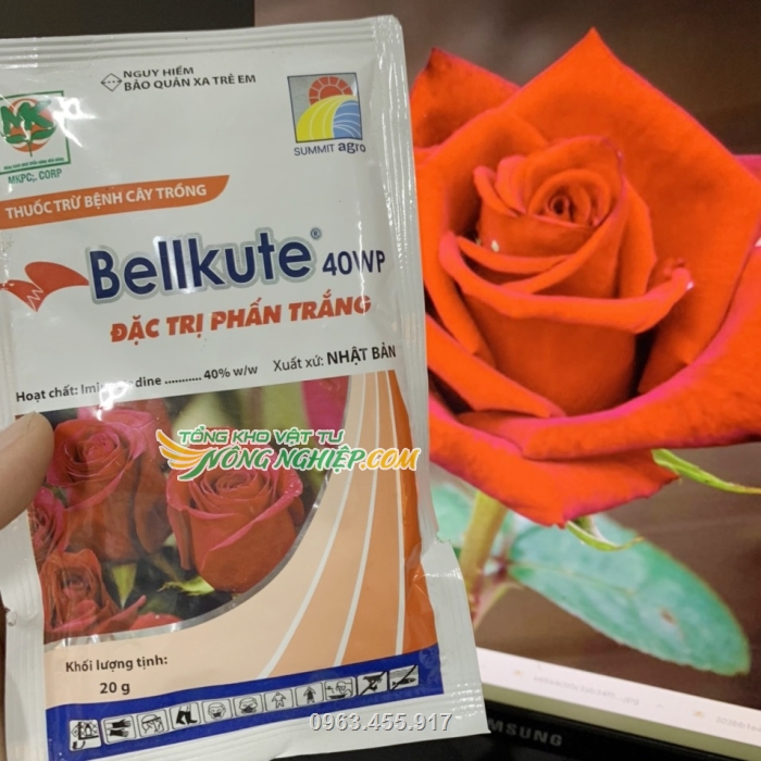 Thuốc Bellkute đặc trị phấn trắng trên cây hoa hồng