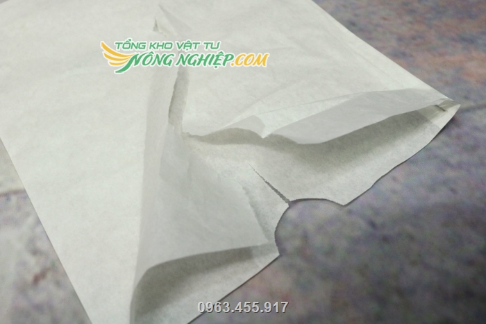 Là túi giấy trắng 1 lớp nên giúp tái quang hợp tốt, tạo sắc tố vỏ trái đẹp