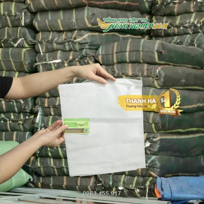 Công ty là nhà phân phối số lượng lớn túi bao trái của Thanh Hà
