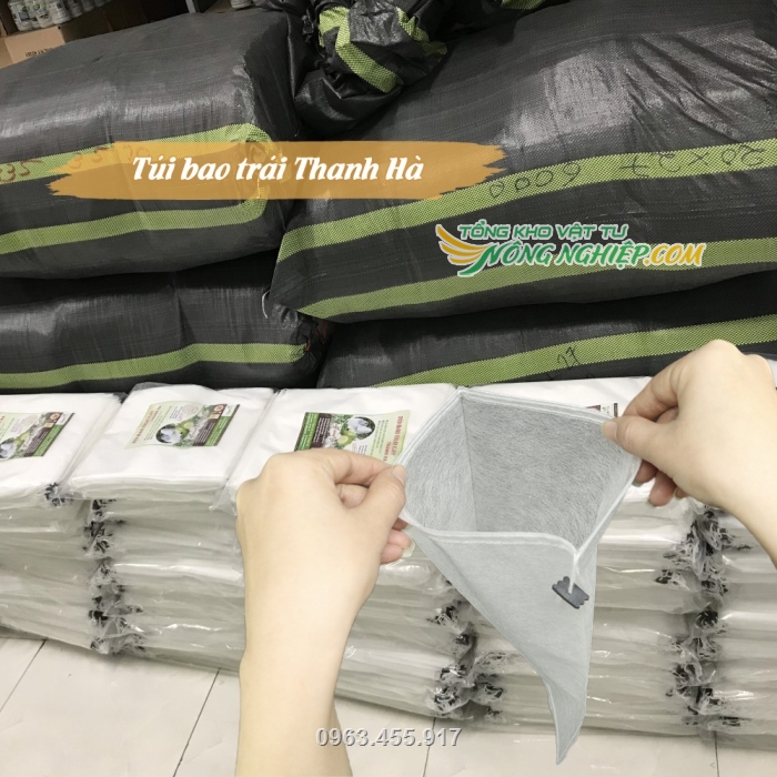 Cty có sẵn số lượng lớn túi bao trái Thanh Hà để cung ứng ra thị trường