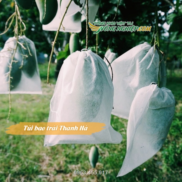 Túi vải Thanh Hà được dùng cho vườn xoài Thái của chị Hương