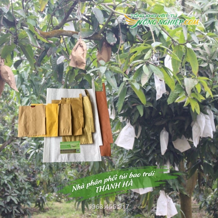 Túi được dùng trong các nhà vườn trồng xoài cho trái có mẫu mã đẹp