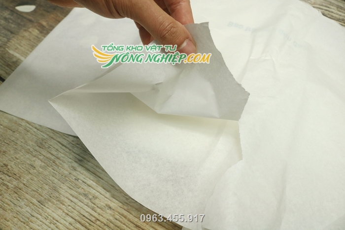 Sản phẩm thiết kế túi giấy trắng 1 lớp cho trái dễ dàng quang hợp